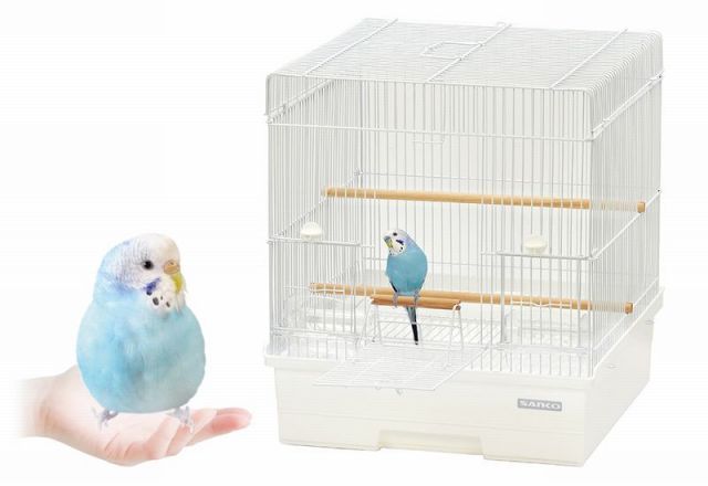 バードキャビン 37
