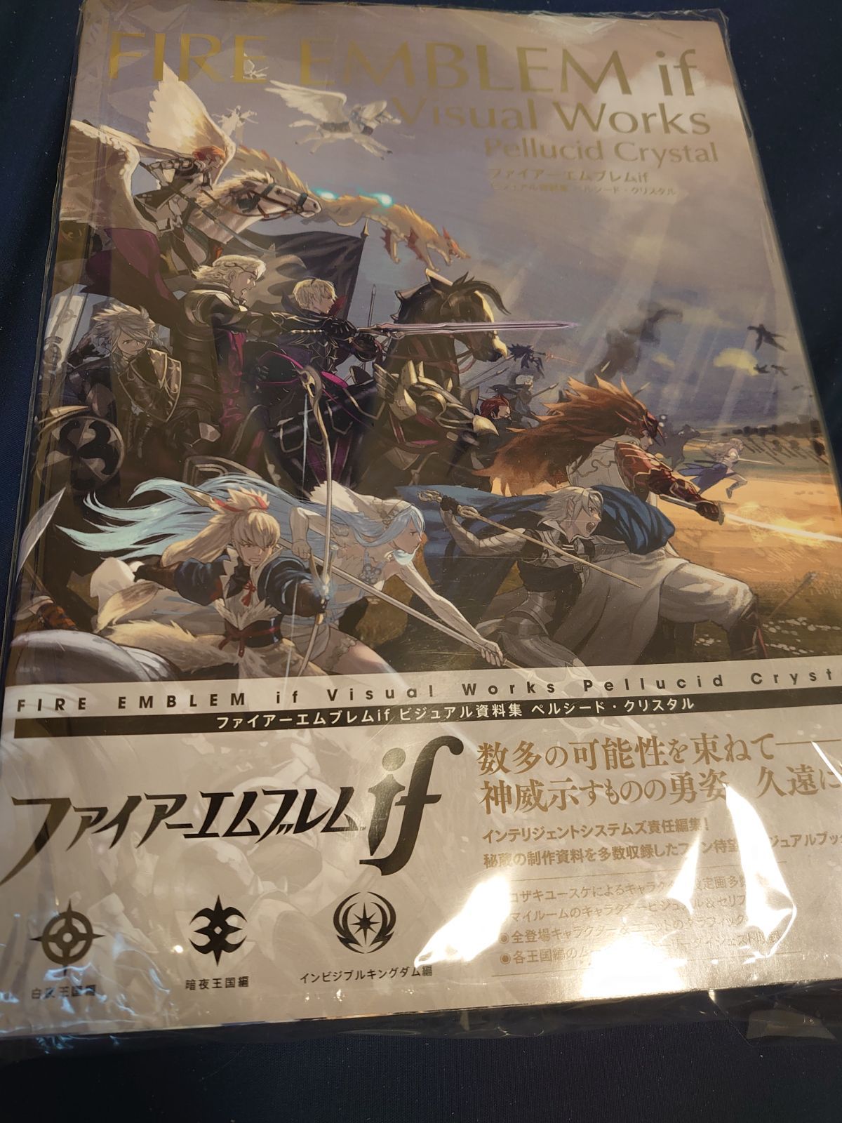 数量は多 ファイアーエムブレム ビジュアル資料集 if 趣味/スポーツ/実用 - mahaayush.in