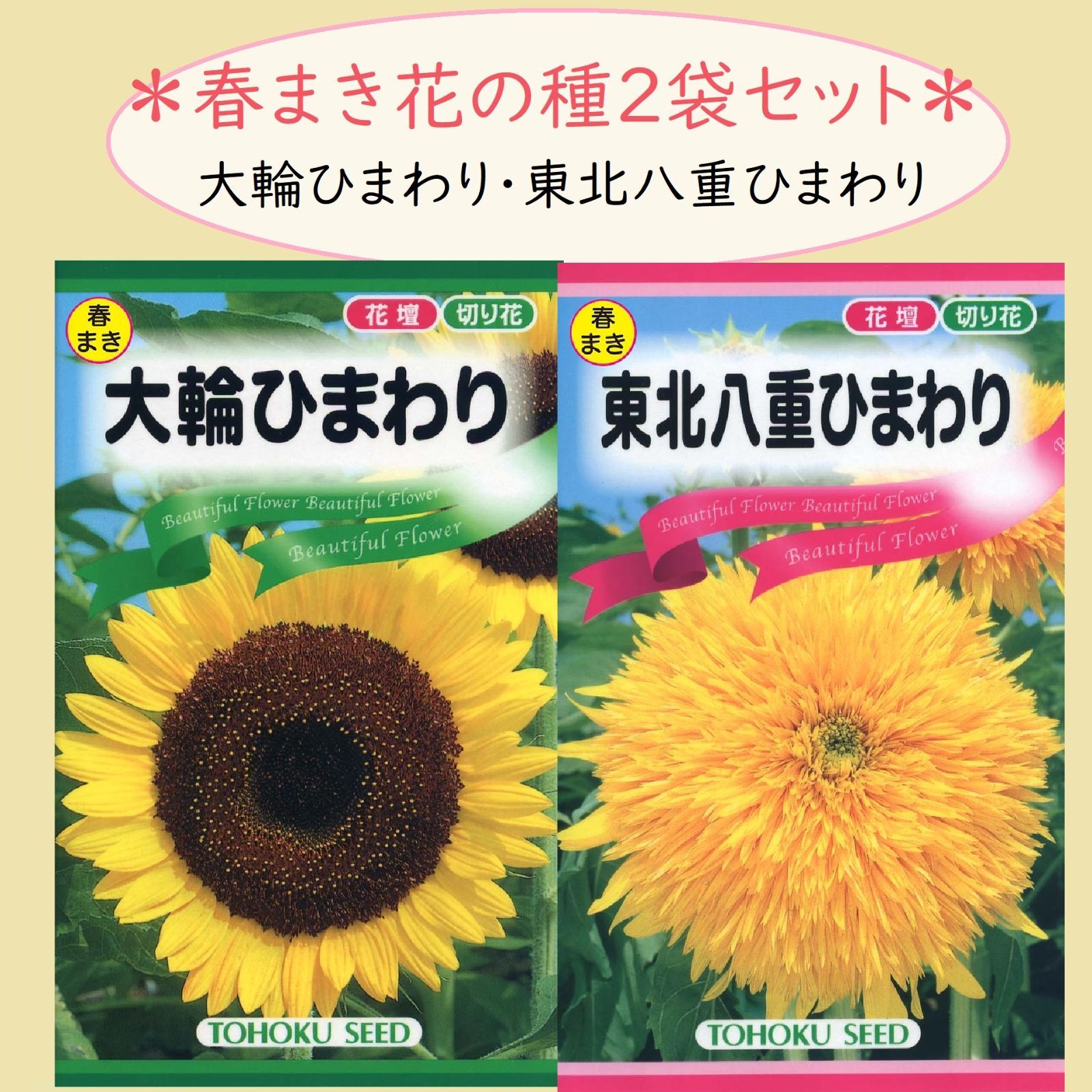 ひまわり、復刻版、二冊セット！ Amazon.co.jp: 聖新陶芸 通年 家庭菜園 簡単 栽培キット