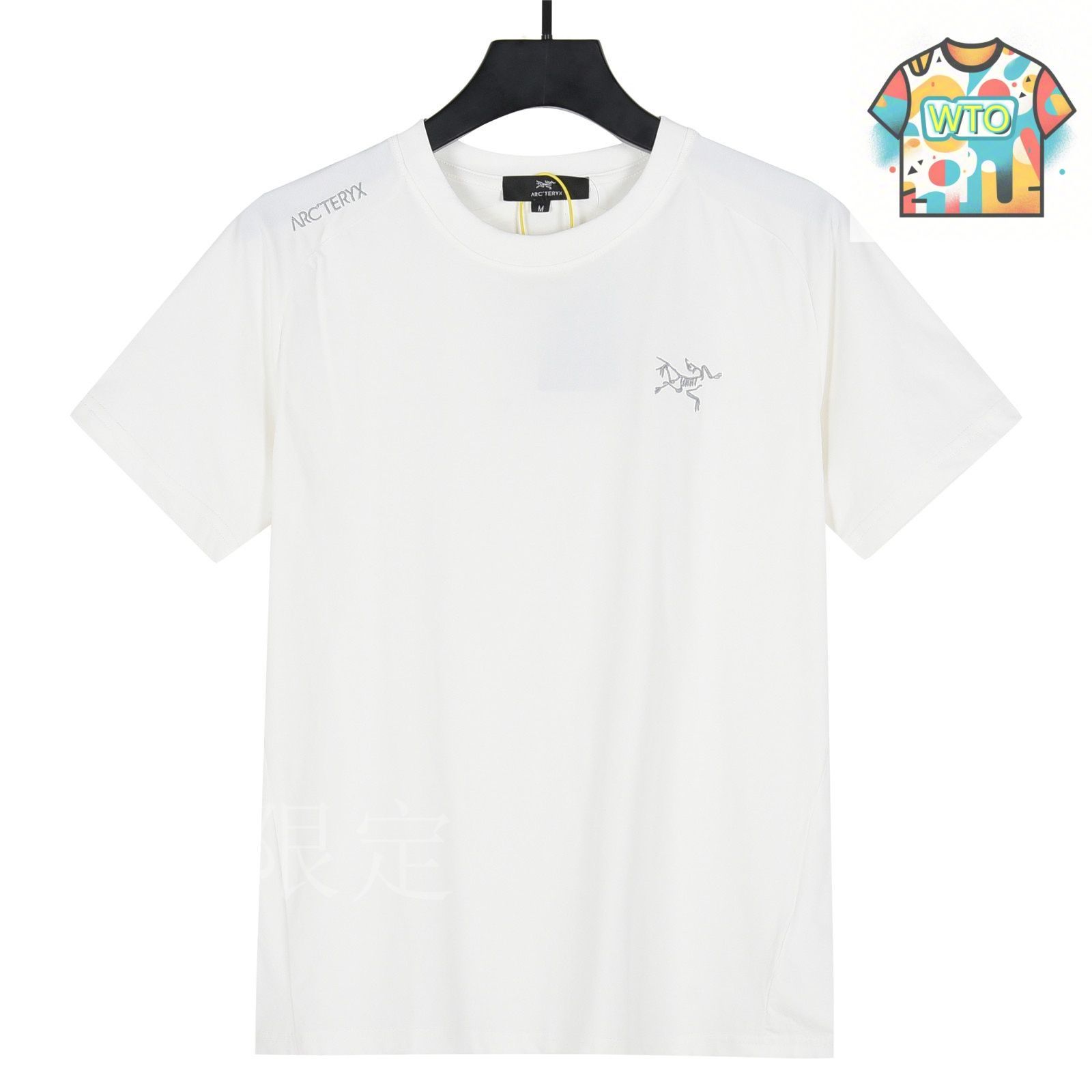 アークテリックスTシャツ 楽天市場】ARC'TERYX ARCTERYX アークテリクス SKELETILE Men's
