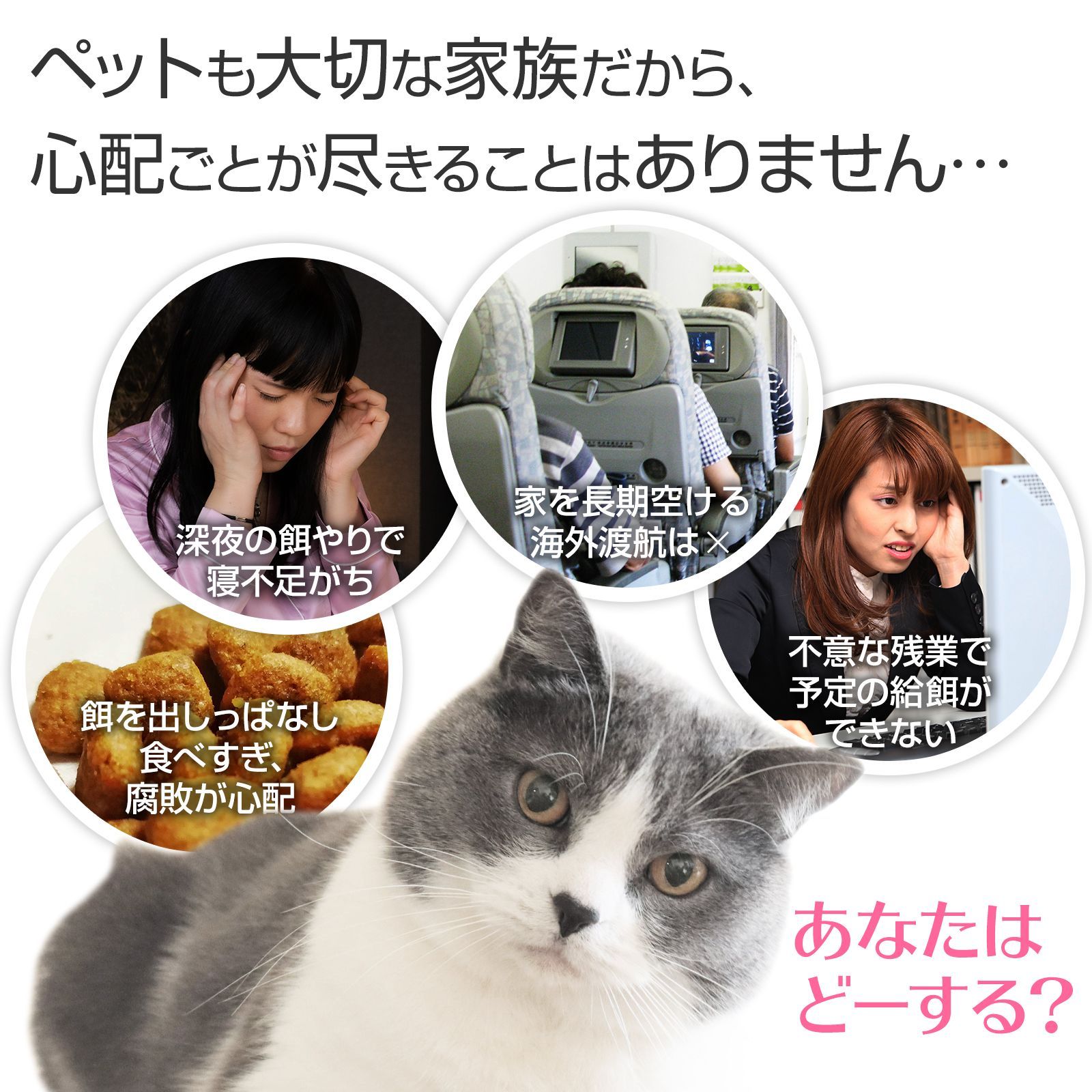 自動餌やり器