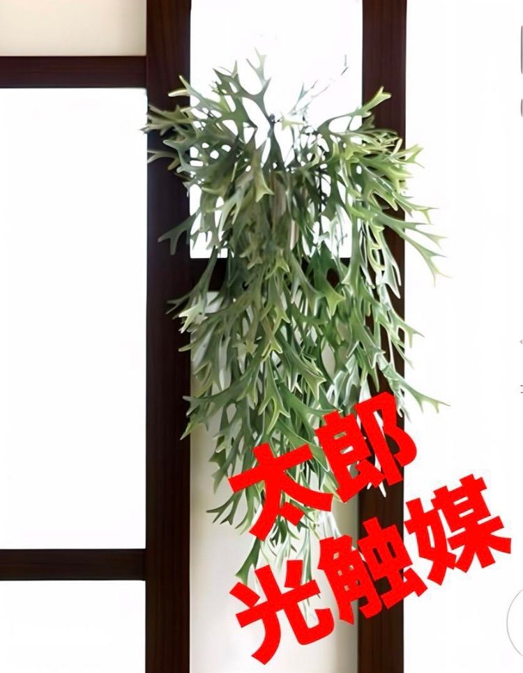 光触媒　人工観葉植物　ウォールグリーン　フェイクグリーン　スタックホーン50