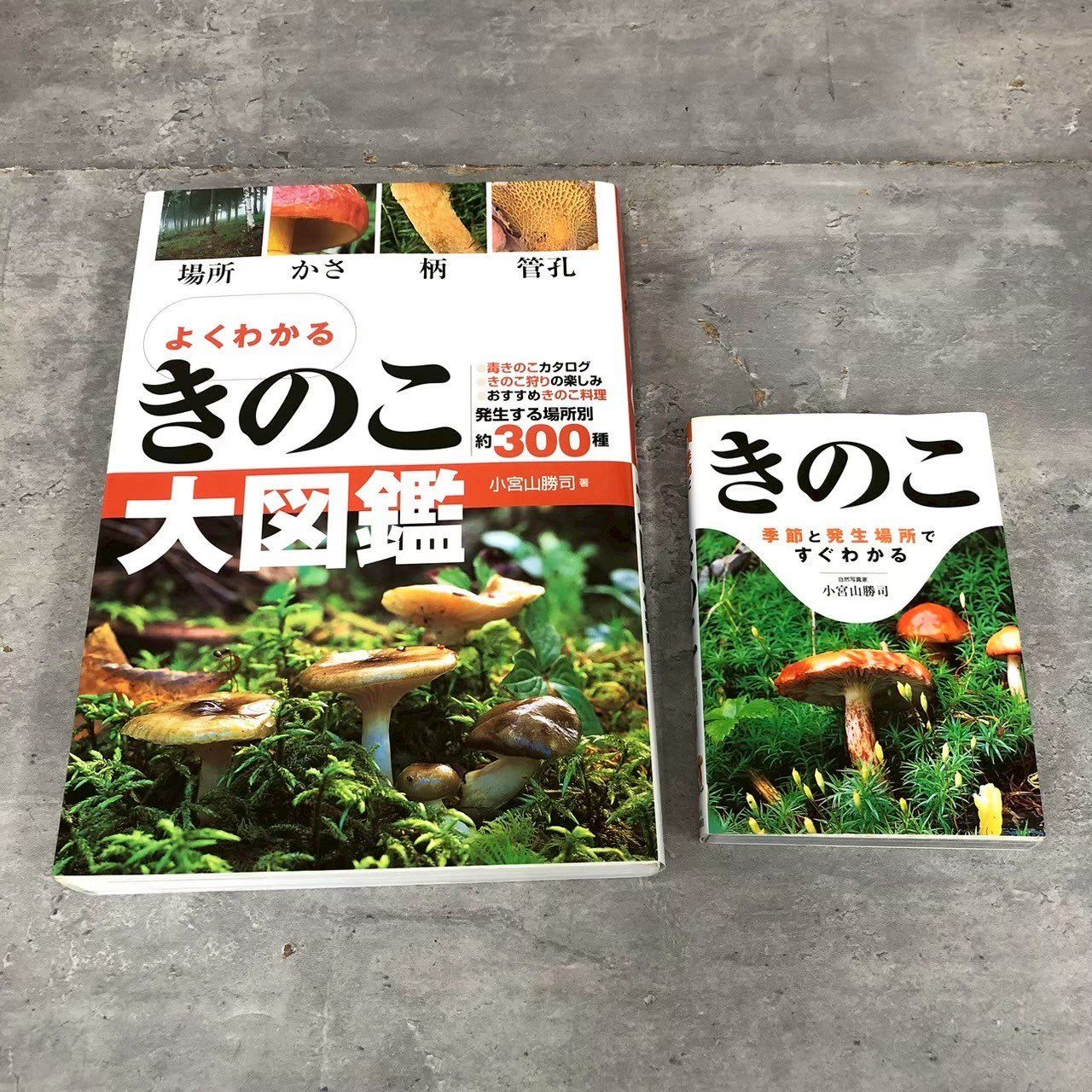 よくわかる きのこ大図鑑 おまけ1冊付 - メルカリ