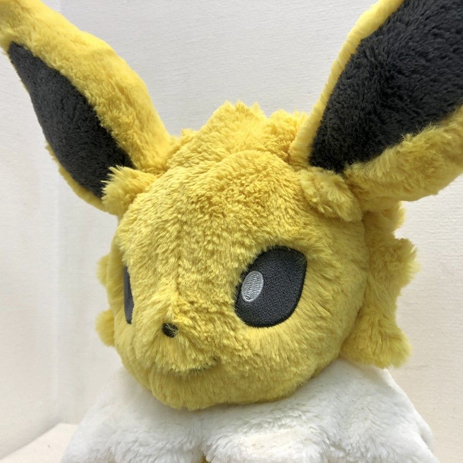 Pokemon Center ポケモンセンターオリジナル ふわふわ抱きぬいぐるみ