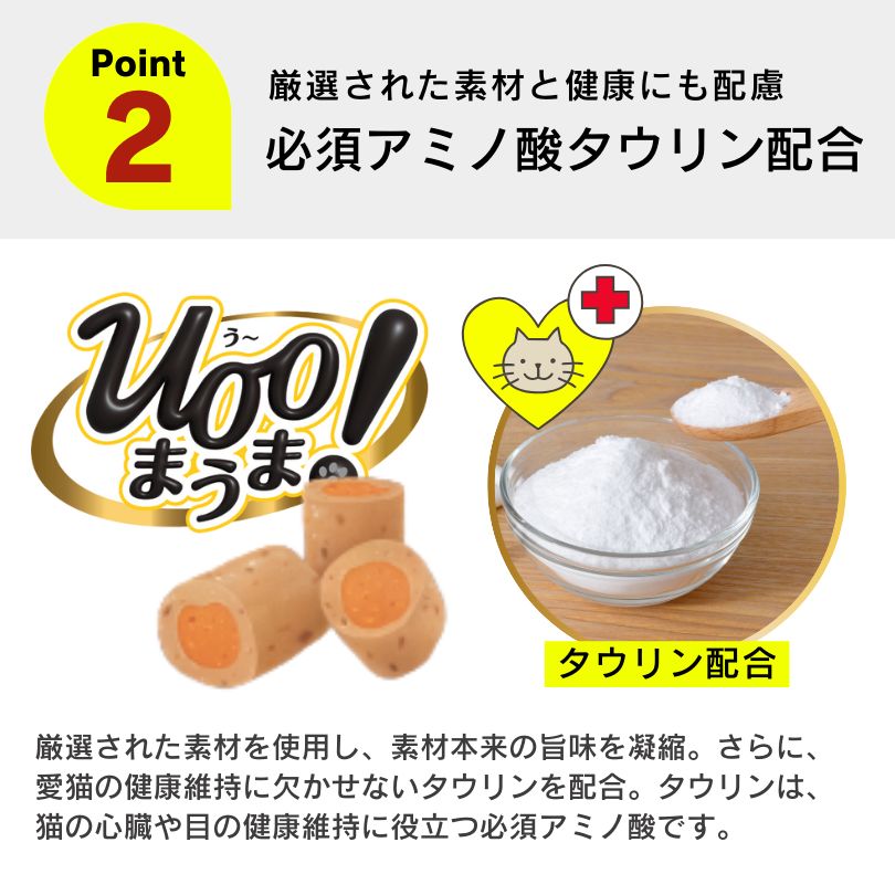 成猫 高齢猫