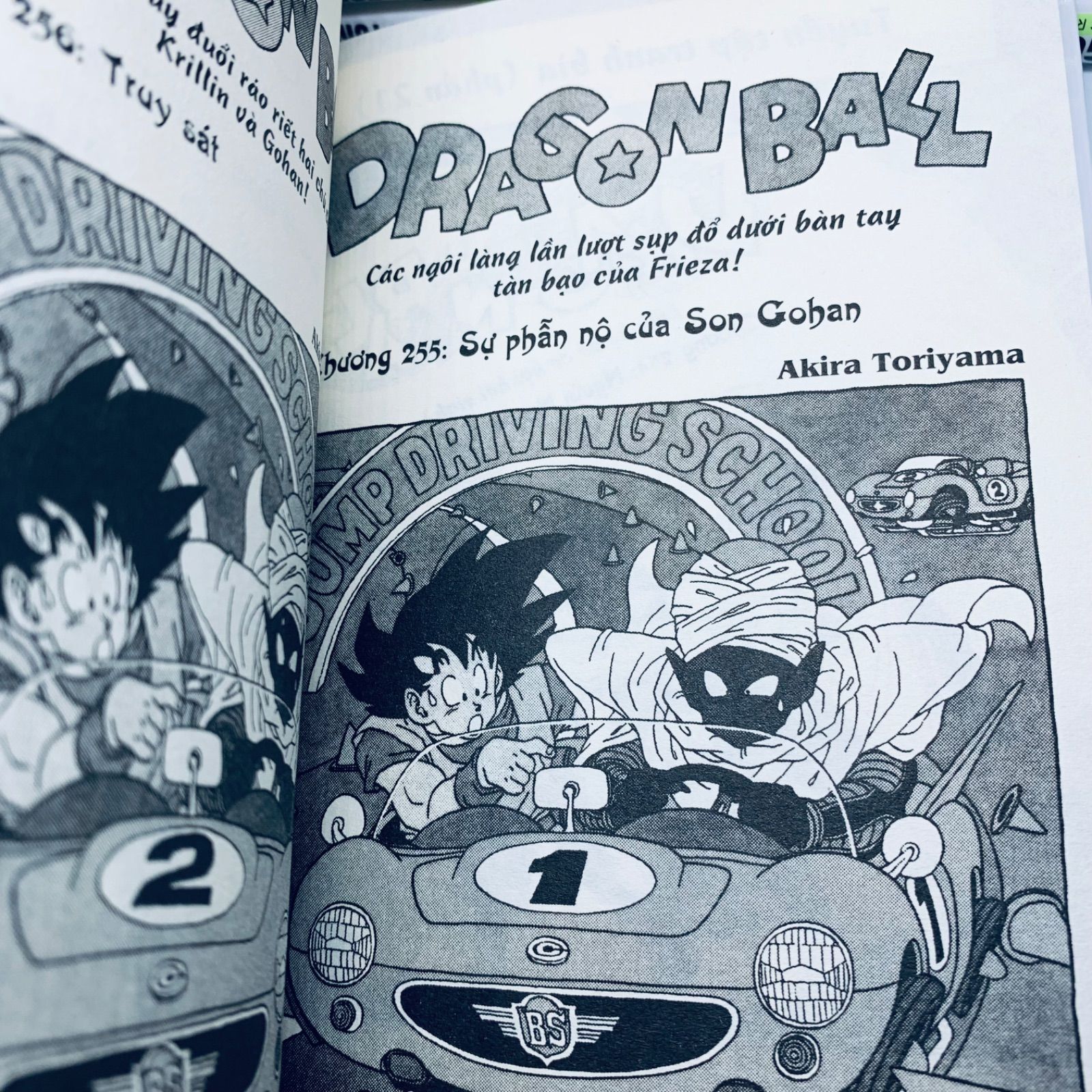 Dragon Ball: Tập 12 -22 【ドラゴンボール Vol.12 - 22 ベトナム語版 