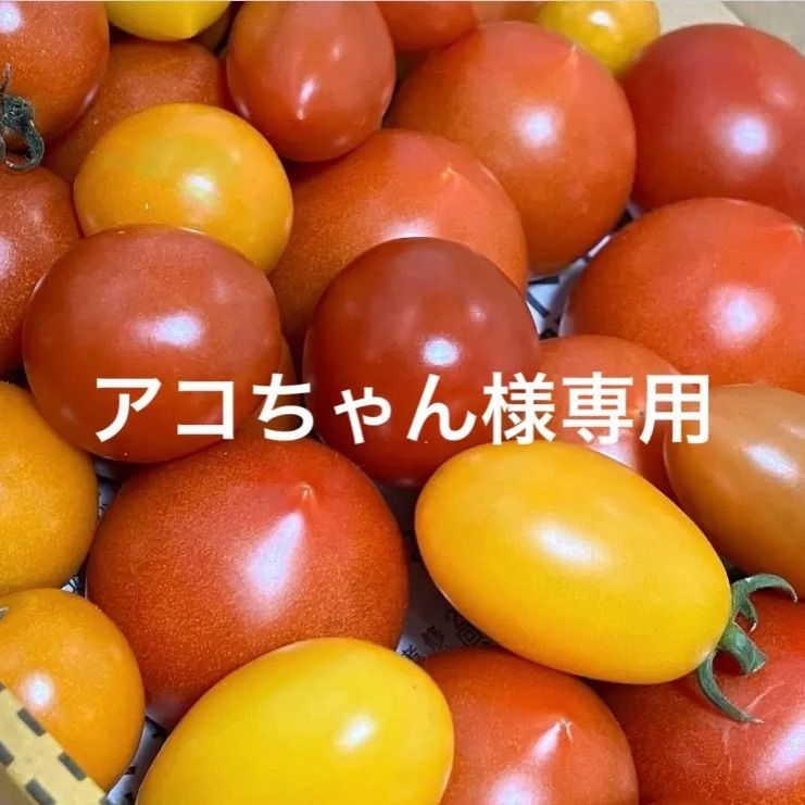 とまと様　購入用ページ tomato様専用ページ！！ トマト様 専用ページ トマト 様専用ページ