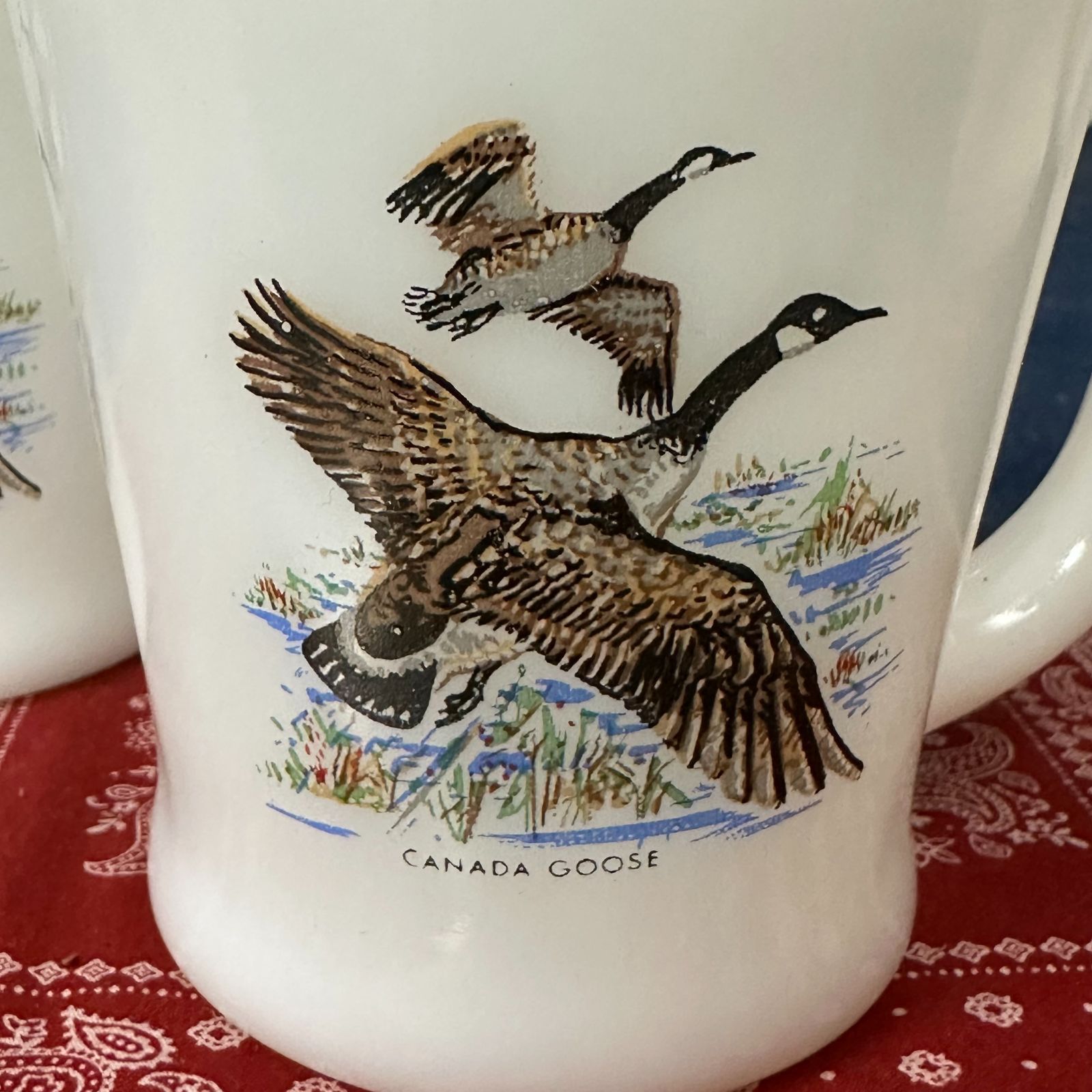 fireking ファイヤーキング　レアマグセット fireking ファイヤーキング レアマグセット Fire-King Japan