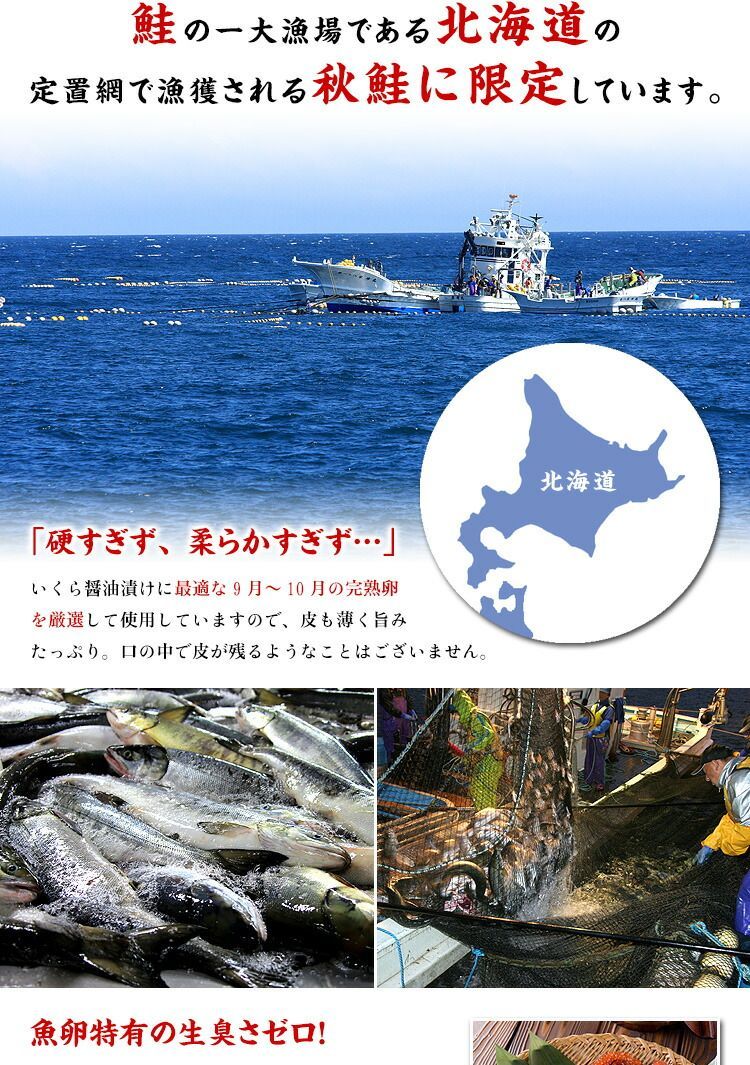 約6人前