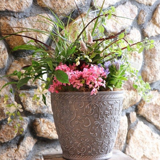 当店オリジナル 秋の草花のエレガントスタイル寄せ植え 現品１９１