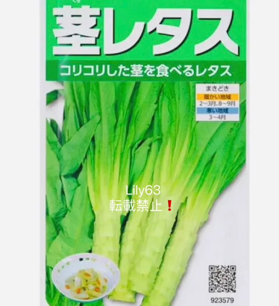 山クラゲの種100粒！茎レタス栽培｜秋・春 - メルカリ