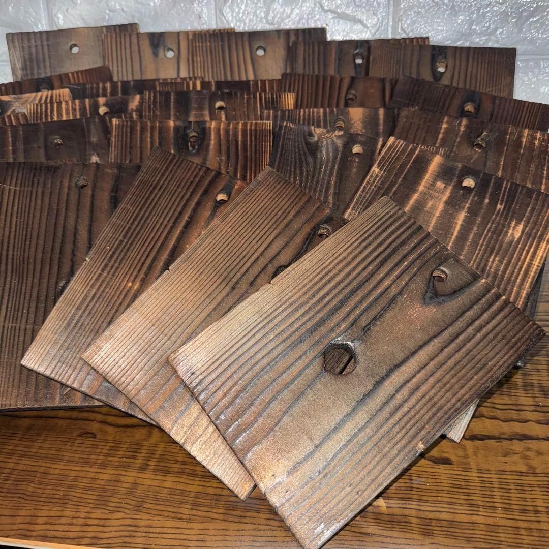 ビカクシダ　着生板　焼杉　24枚 ビカクシダ 着生板 焼杉 24枚 ビカクシダ 板付 コウモリ ラン