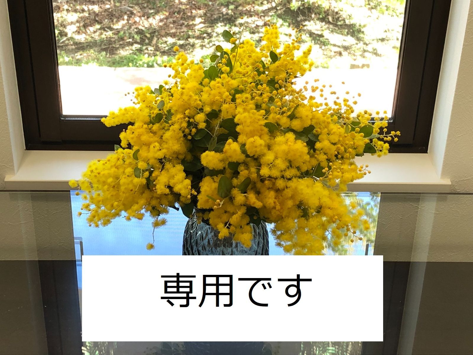 専用 ミモザ ゴールデントップ 生花 フレッシュ ドライフラワー ミモザ ゴールデントップ 生花 Reallseg Com Br