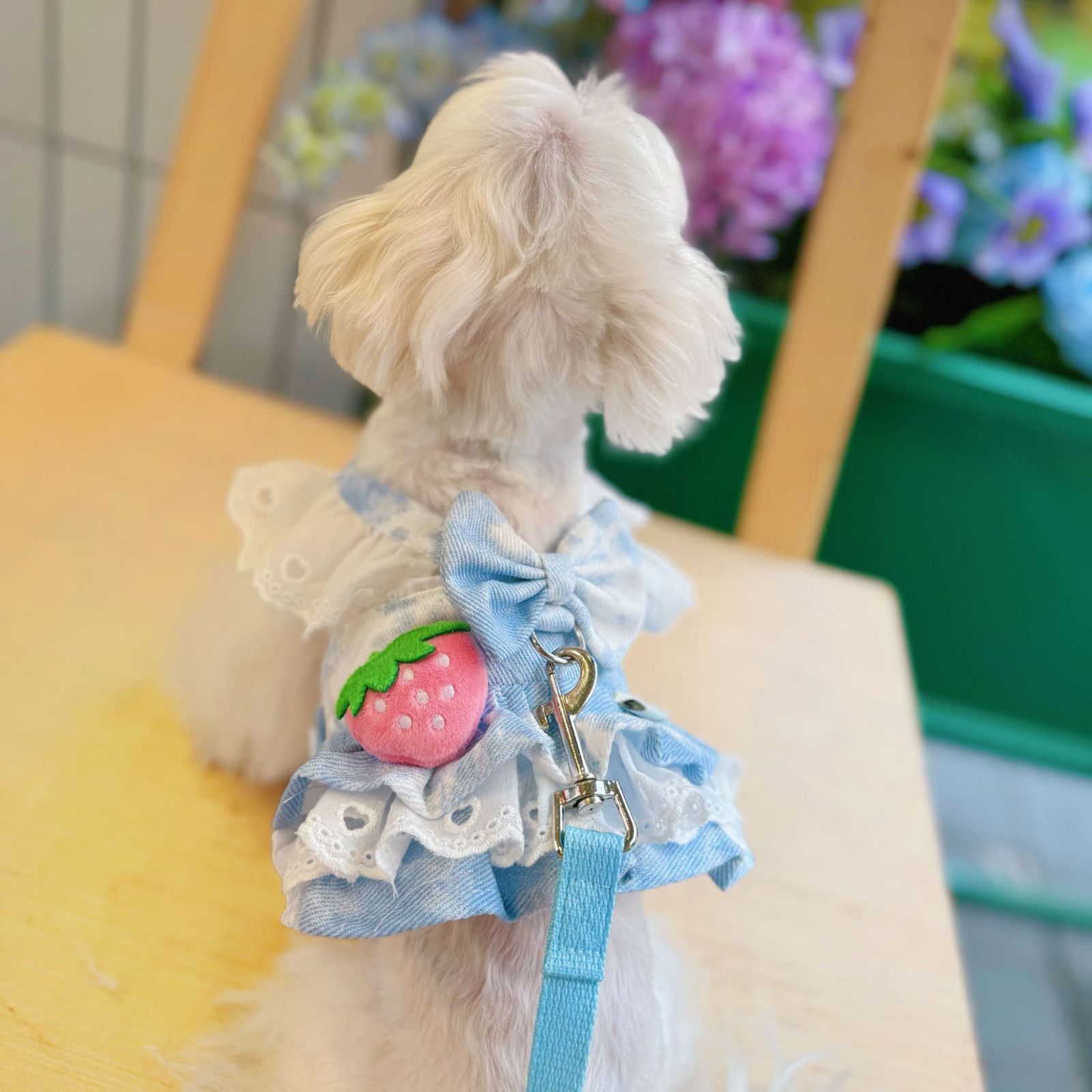 可愛い♡リード♡ 楽天市場】選べる4サイズ バイカラーでお洒落な うさちゃん用