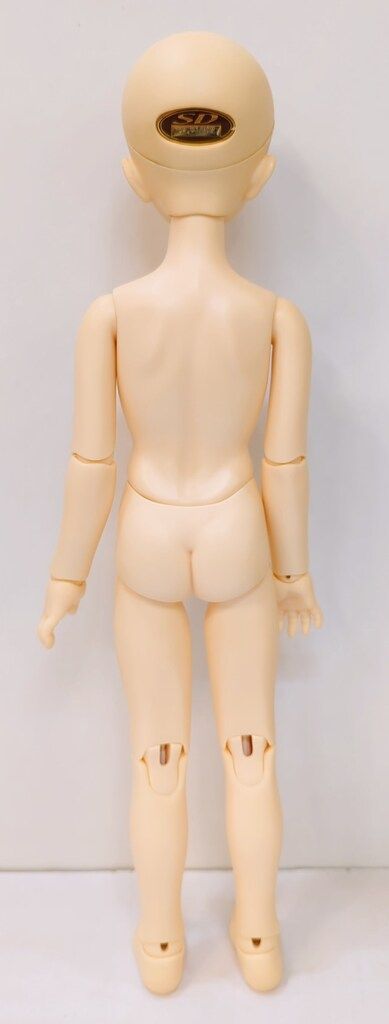 エルシー SDMボディに変更