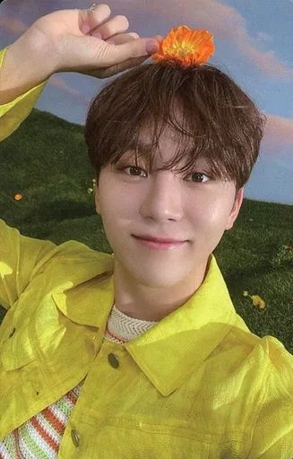 中古】コレクションカード(男性) SEVENTEEN/SEUNGKWAN