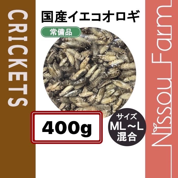 中国古美術 書道 草書 お買い得品 千字文 十米 手絵絹本 唐物 肉筆