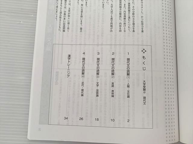 塾専用 高校新演習 大学受験α 現代文など(他)状態良い 003s0B