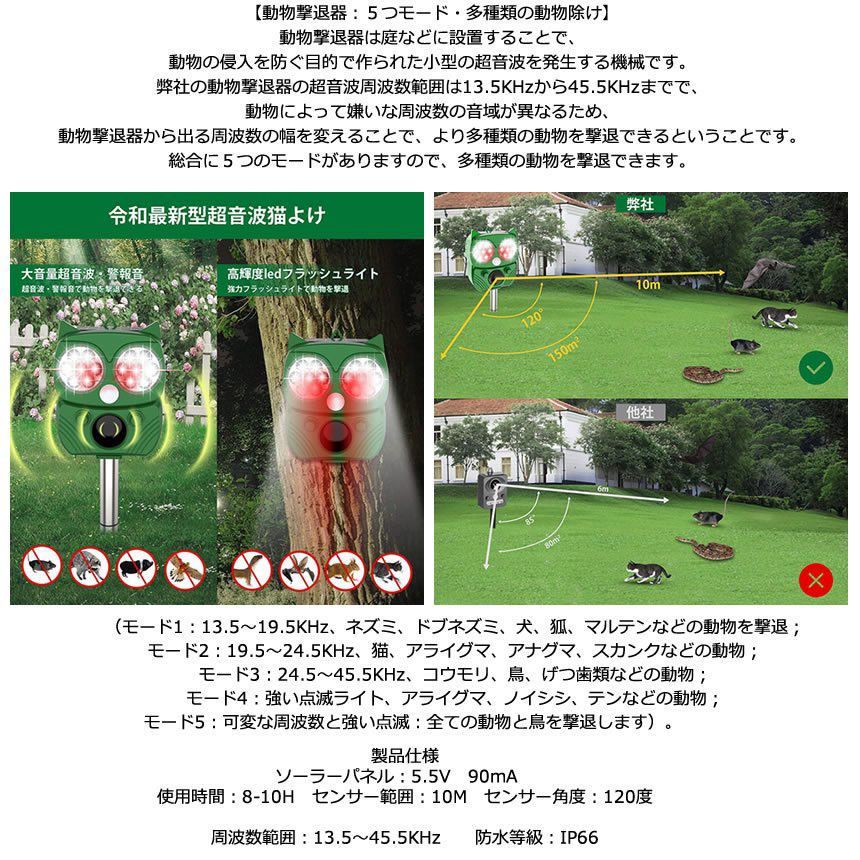 キャンプ