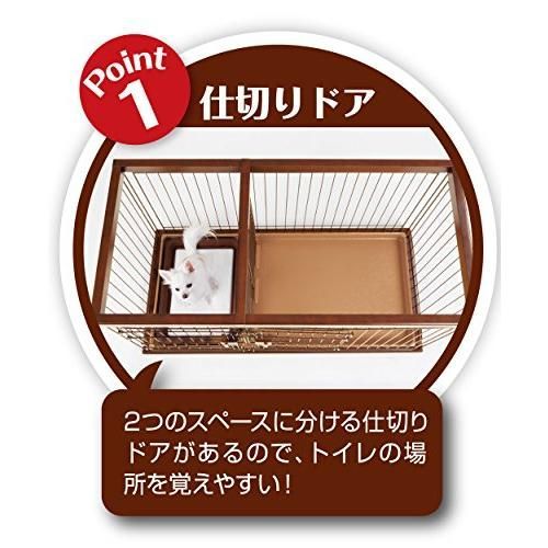 ペティオ