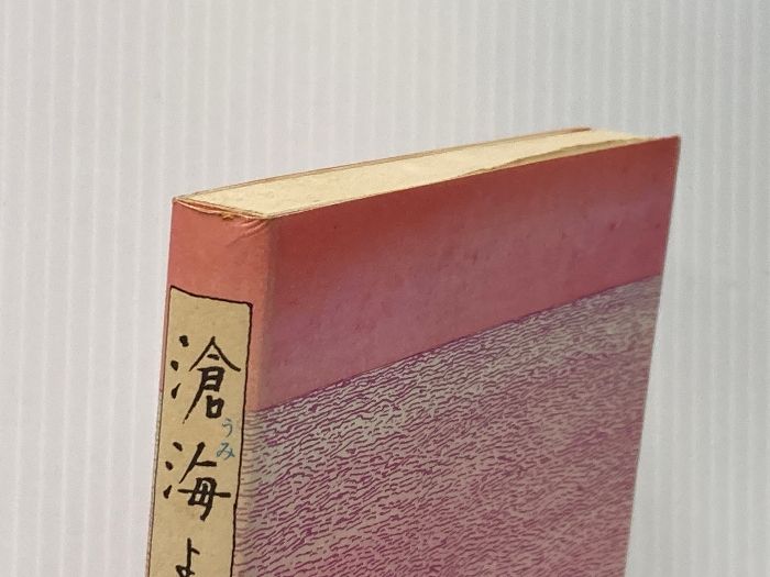 滄海よ眠れ〈4〉―ミッドウェー海戦の生と死 (1984年) 毎日新聞社
