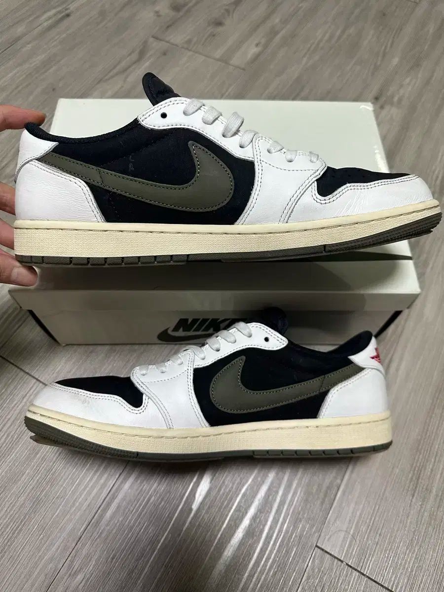 ミディ オリーブ