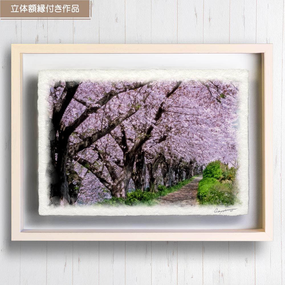 和紙の絵写真 「川沿いの遊歩道と桜並木」 立体額縁付き 44x31cm