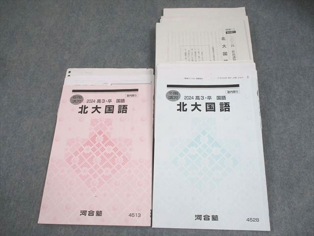 河合塾 北海道大学 北大コース 国語 テキスト/テスト13回分付 2024 夏期/冬期 計2冊 027S0D 河合塾 北海道大学 北大コース 国語 テキスト/テスト13回分付