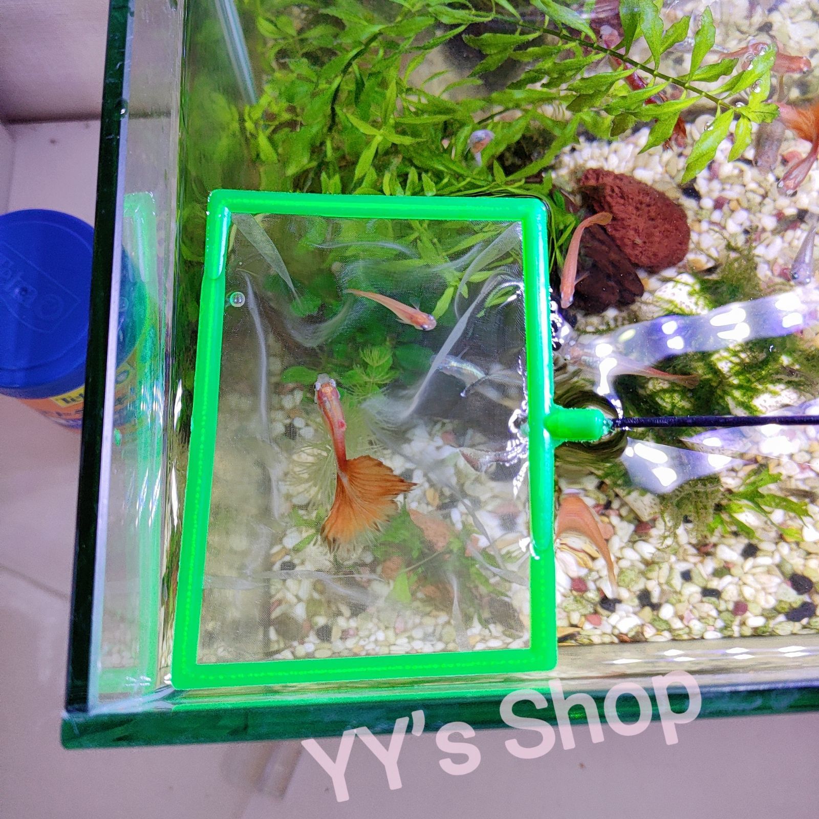 あみ★出品 水槽網 密網 魚 掬う ごみ取り ミジンコ 金魚メダカ 熱帯魚