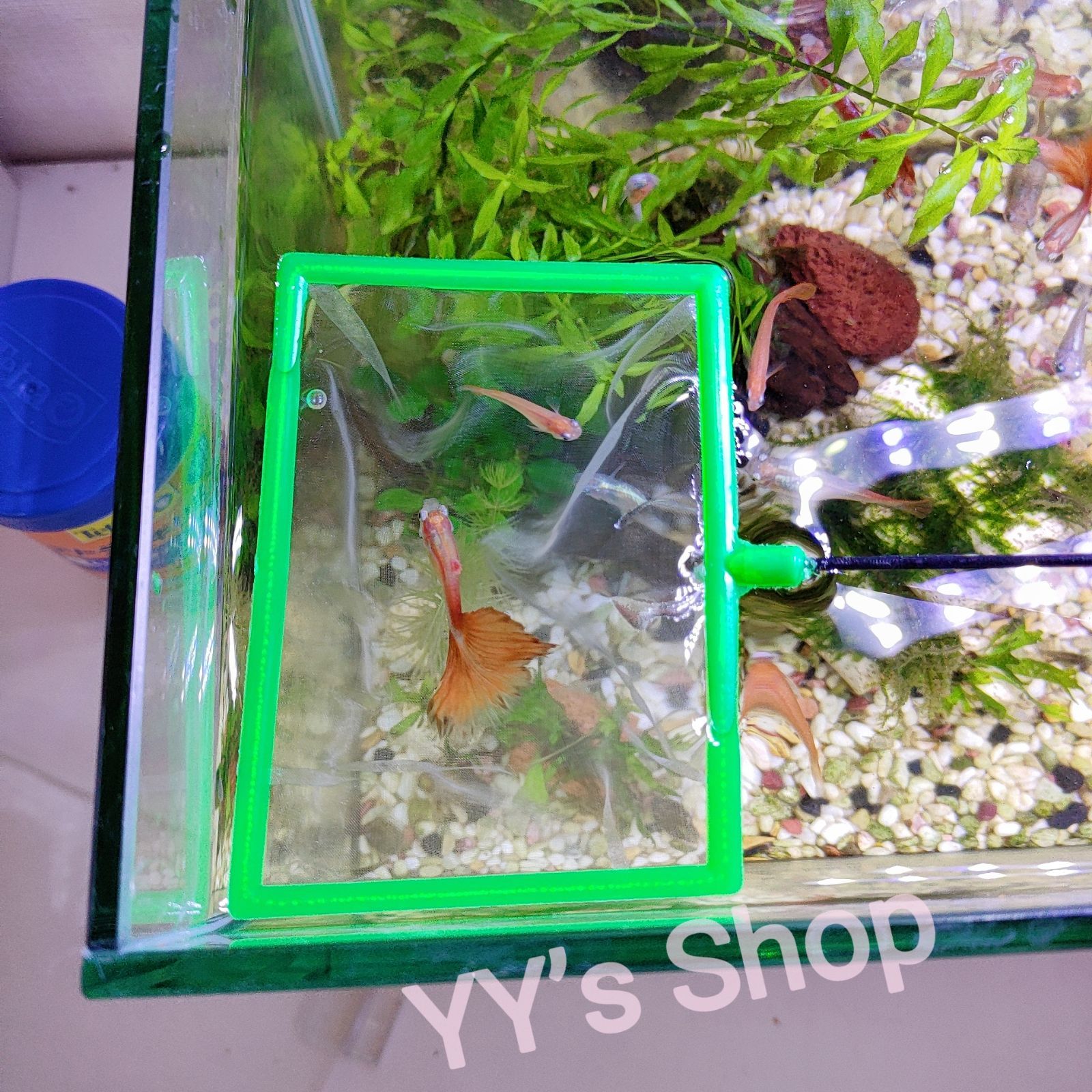 密網 2本セット 水槽 掃除 ネット 金魚 熱帯魚 水槽用品 - 魚用品