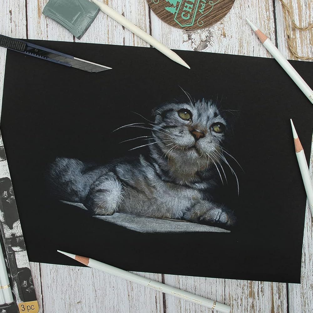 チャコール鉛筆画 Brusarth プロフェッショナルホワイトチャコール鉛筆セット
