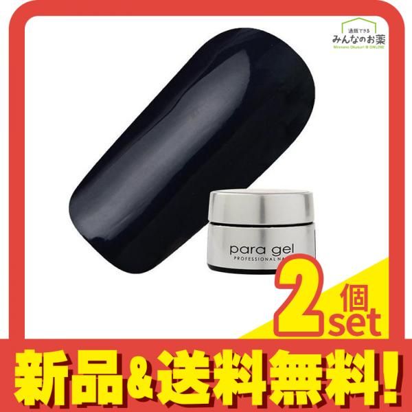 para gel(パラジェル) カラージェル DD05 ダークネイビー 2g 2個セット まとめ売り