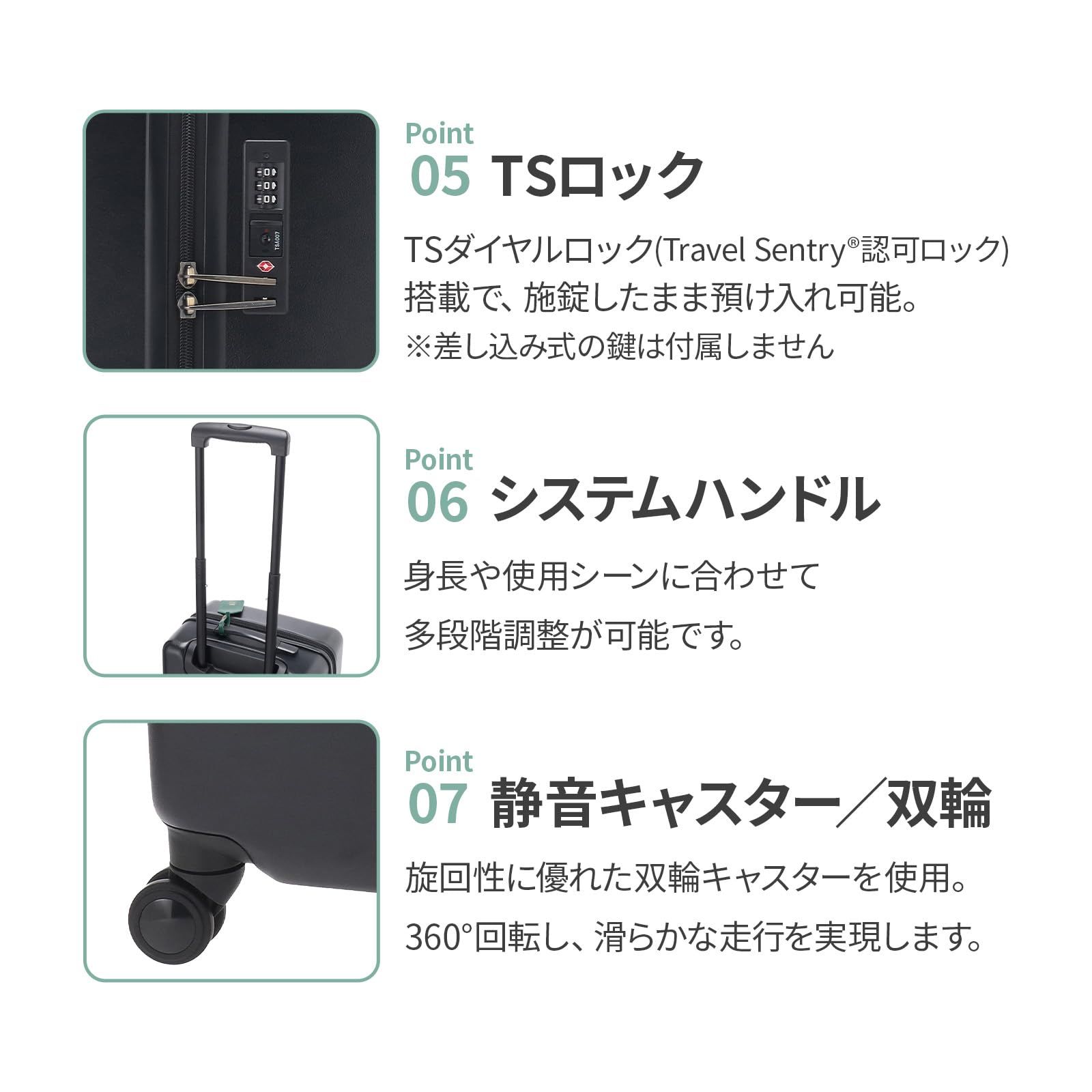 パキラ sサイズ