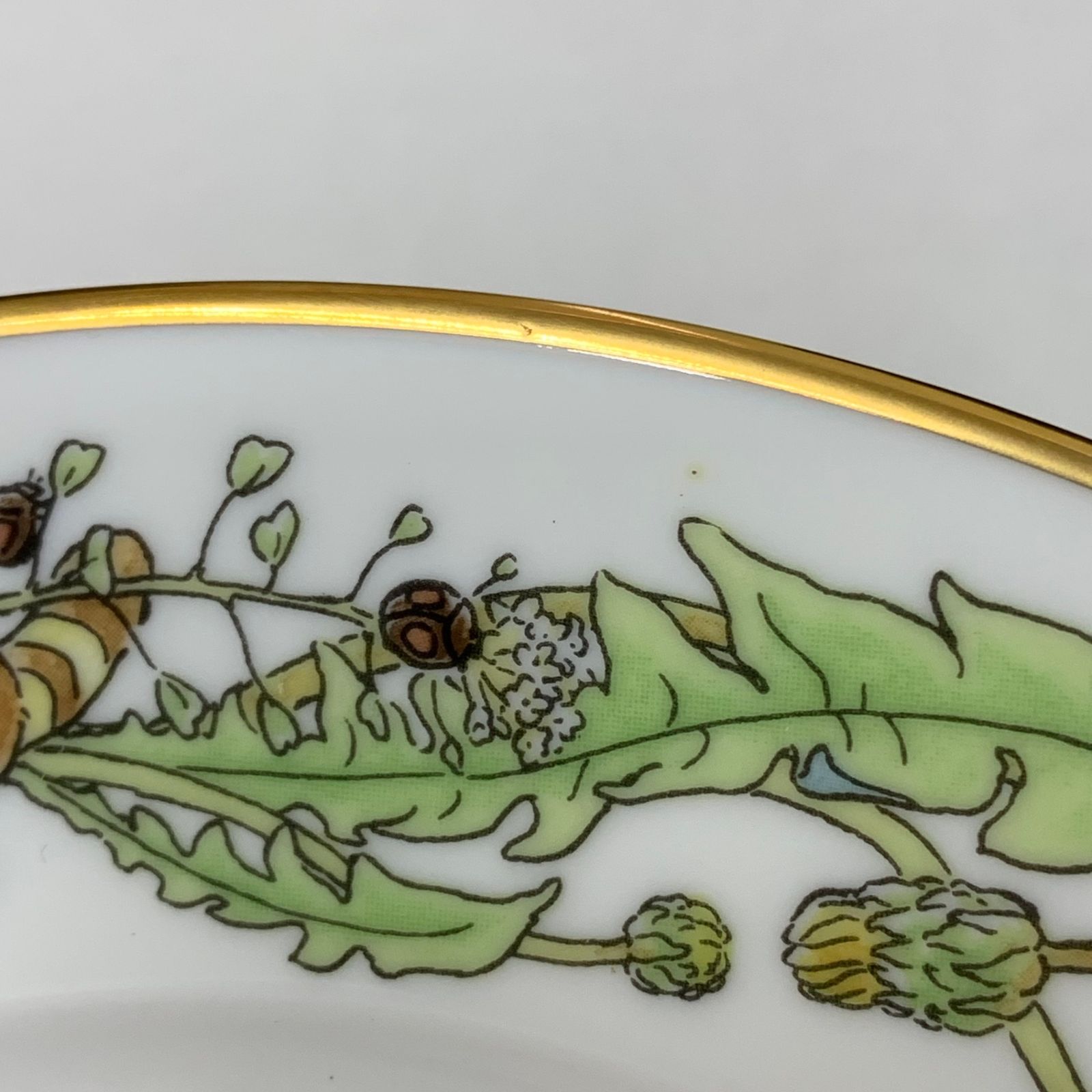 Noritake ノリタケ スタジオジブリ となりのトトロ 記念イヤー
