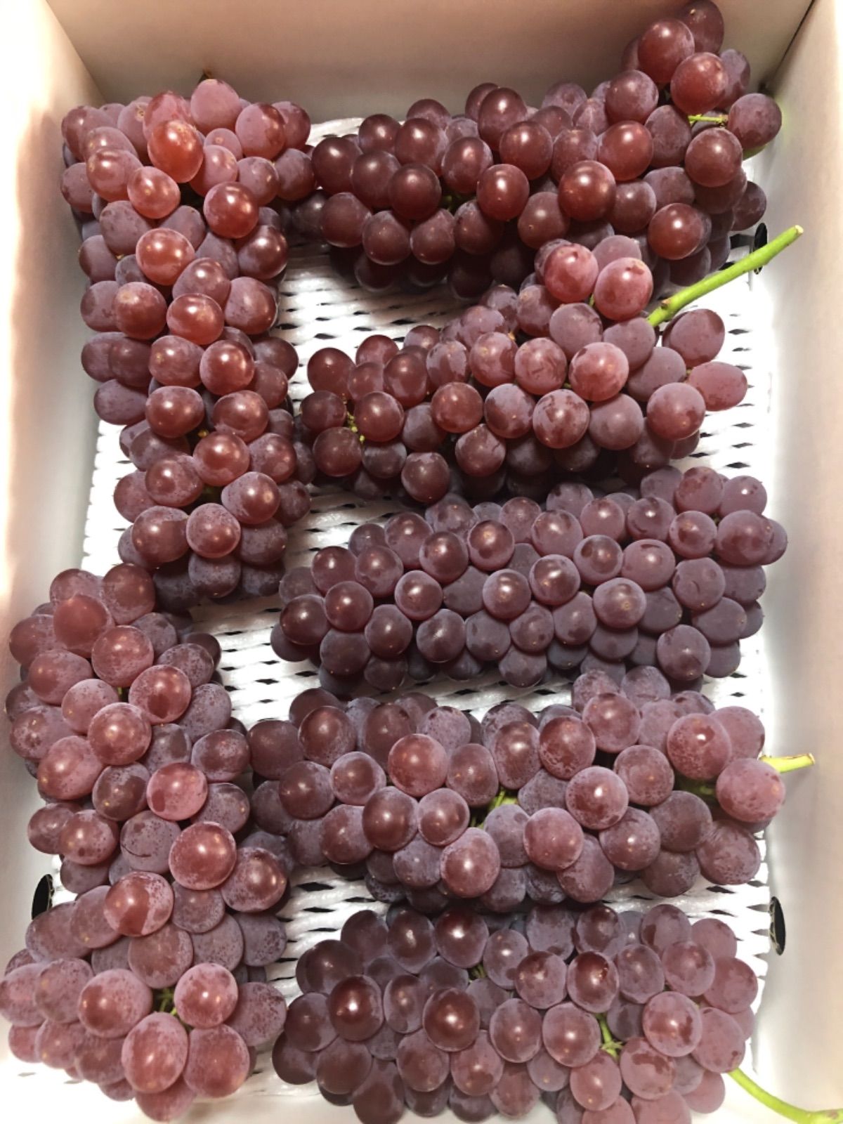 販売 訳ありデラウェア