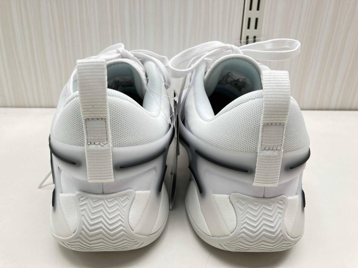 NIKE ナイキ ウィメンズ ジョーダン HEIR PF バスケットシューズ FZ2473-110 28.0cm WWW_NOITHATQUANGTHANH_NET