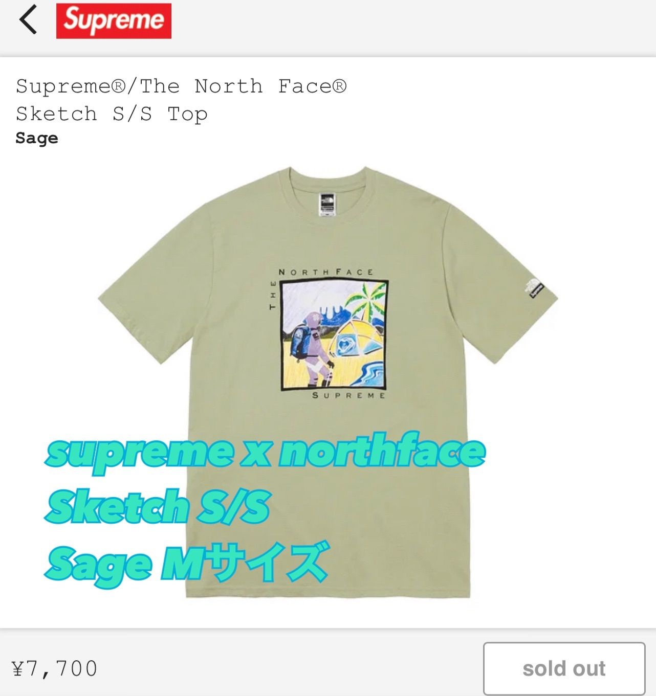 Tシャツ/カットソー(半袖/袖なし)Supreme / The North Face Sketch Tee Mサイズ