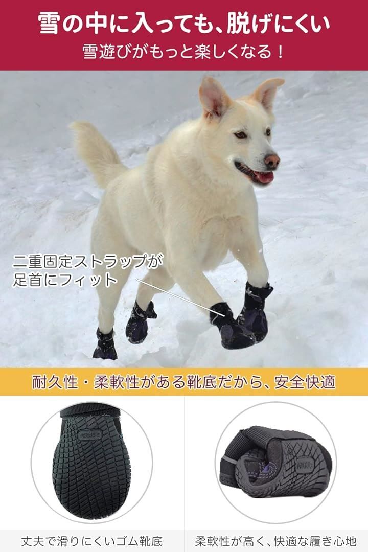5号