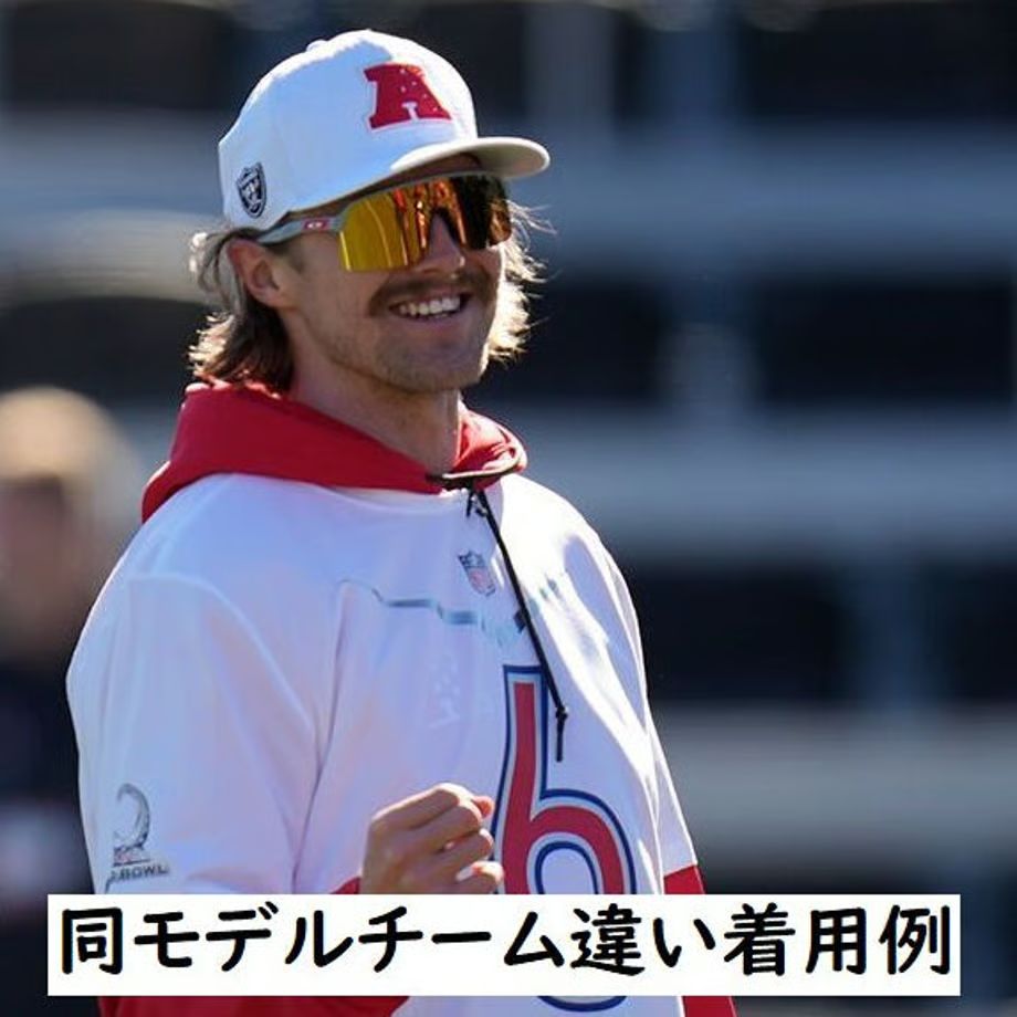 ドルフィンズ