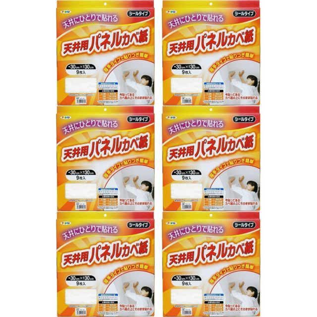 ９枚入り