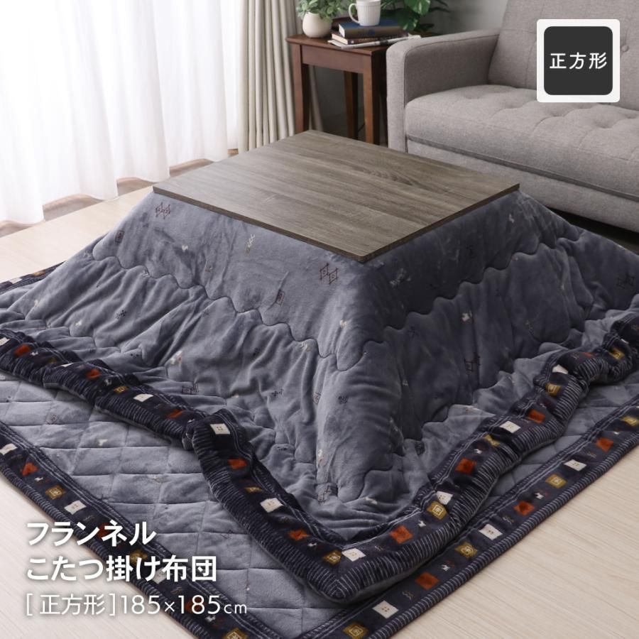 境域に立つ II —— シュタイナー精神医学への道