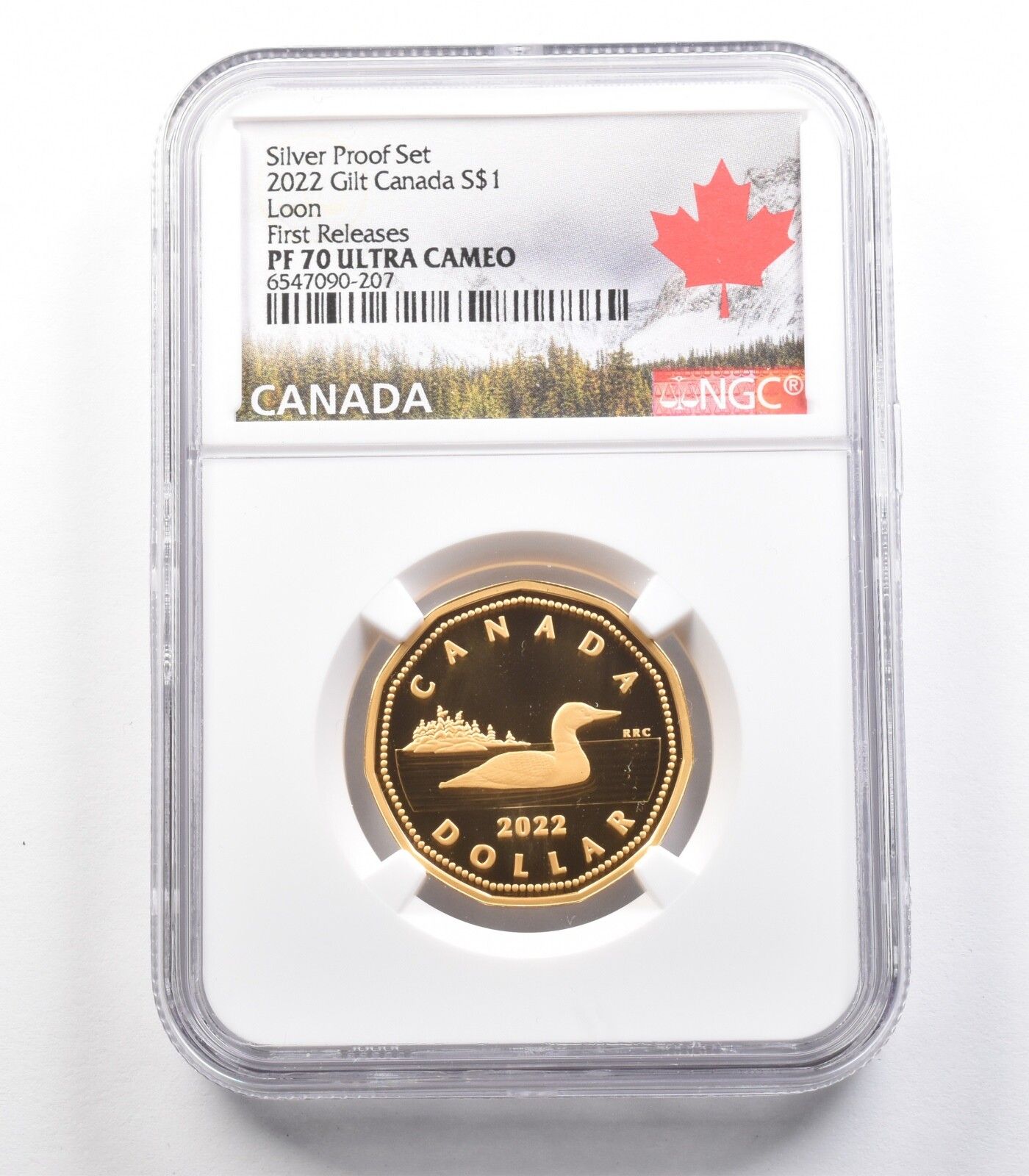 2025年カナダ銀貨1ドル金貨ルーン銀貨プルーフセット初登場 PF70 NGC