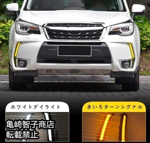フォレスター左右デイライト ap-ll306-2c_002.jpg