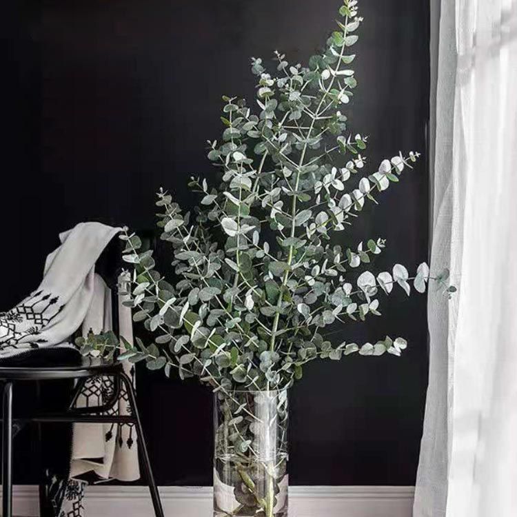 Amazon.co.jp: DARENYI 花瓶 ガラス 高さ25cm 透明花瓶 クリア