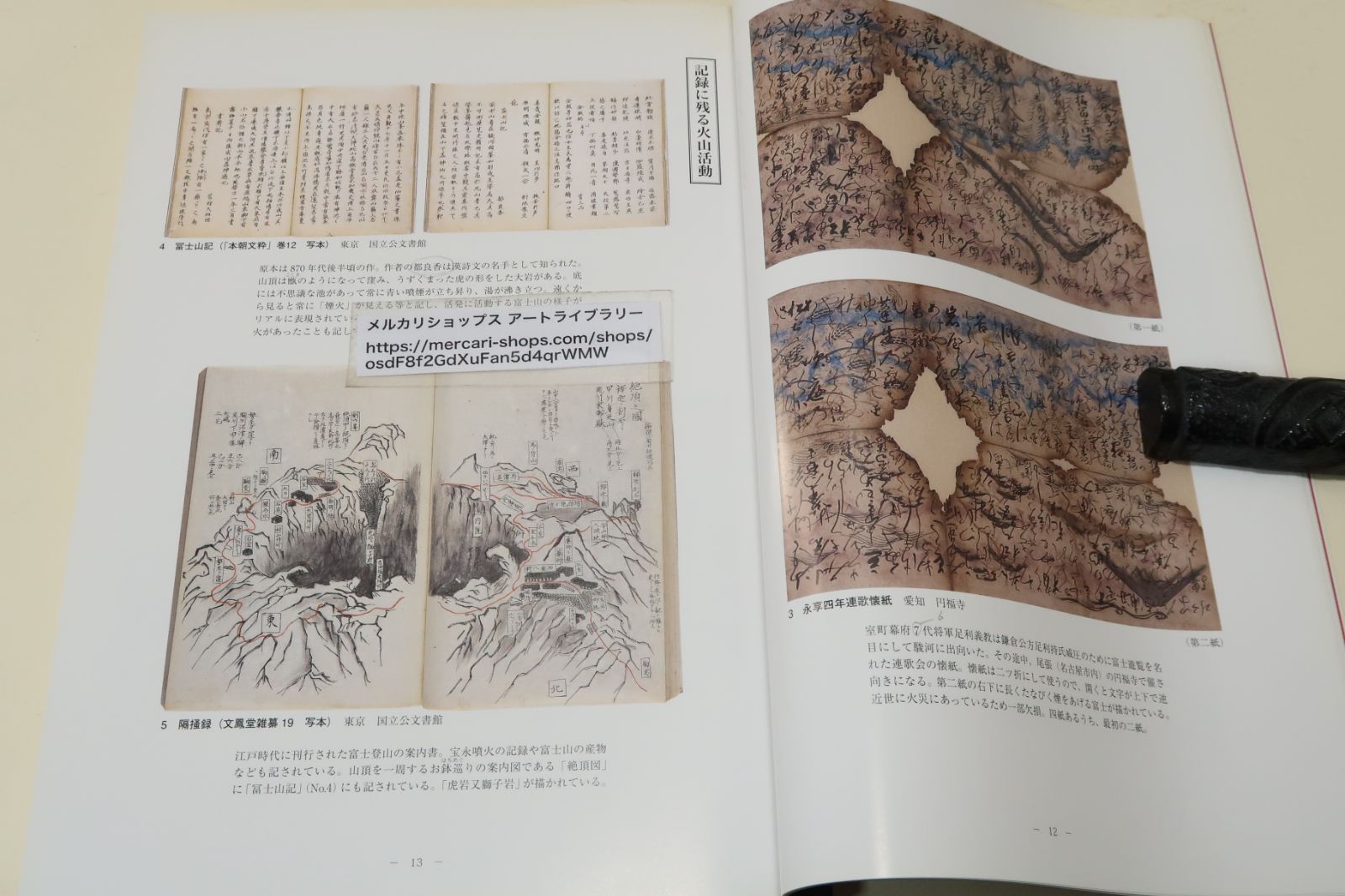 富士山大噴火・宝永の砂降りと神奈川/地域災害史の観点から