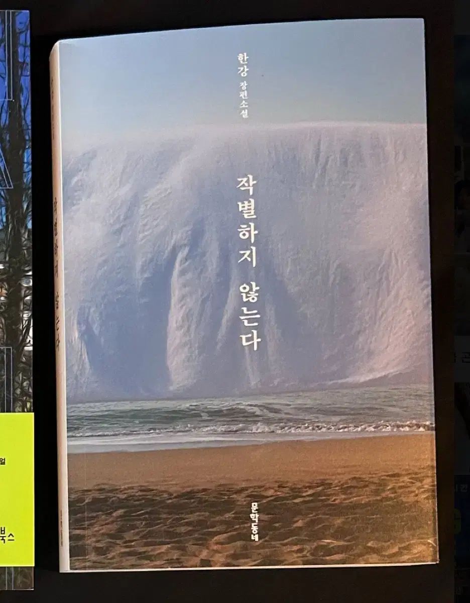 小説 ハン川 さようなら 私はしない