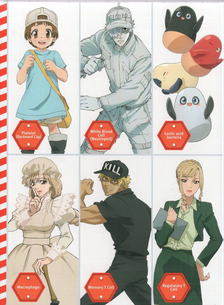 アニメBlu-ray 販売 BOX付)はたらく細胞!!全4巻セット 全巻収納BOX付