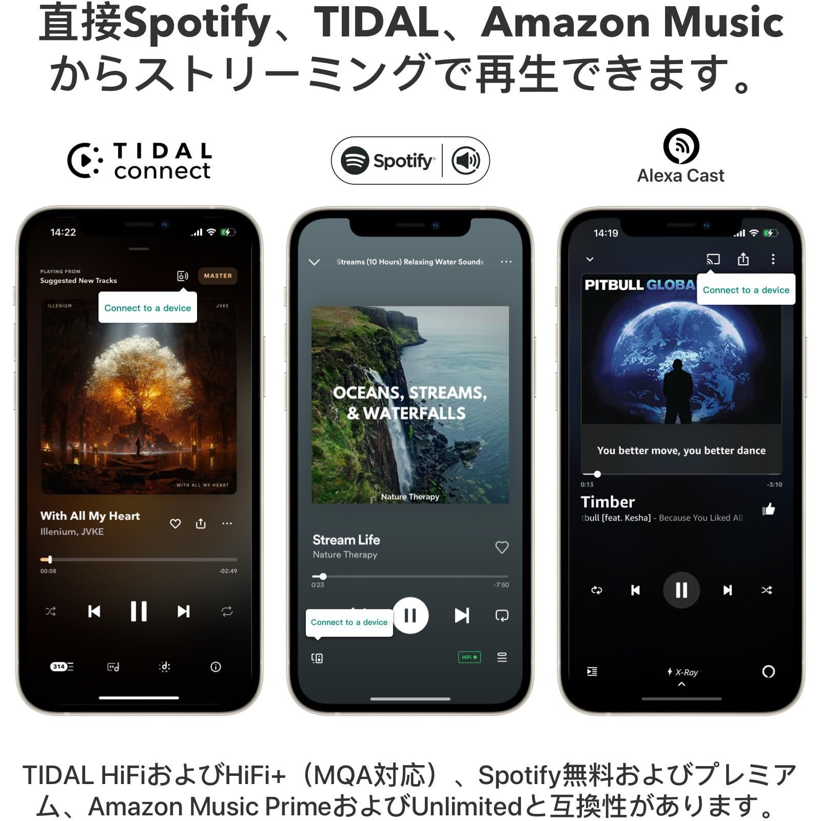 WiiM 2レシーバーアダプター