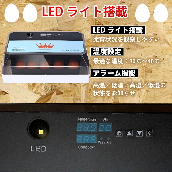 インキュベーター 自動孵卵器 ふか 鶏卵 12個 最大35個収容 恒温器