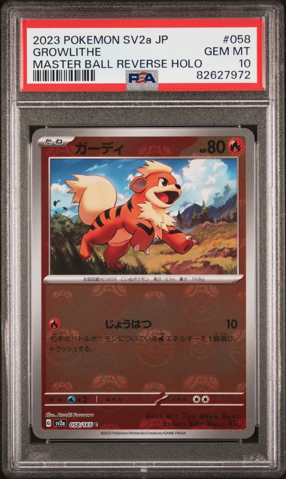 ガーディ　マスターボール　PSA10 マスボ PSA10評価 ワンオーナー品